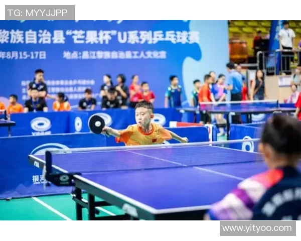 乒乓球的魅力与节奏上海乒乓球队的深度解析与发展之路