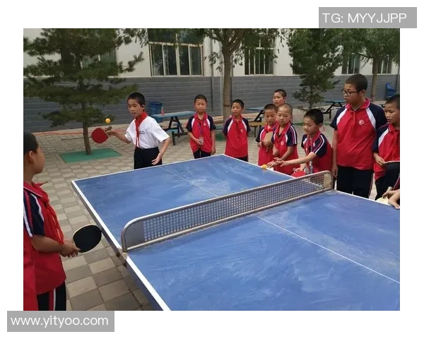 重庆乒乓球队的节奏与激情探秘乒乓球运动的魅力与发展