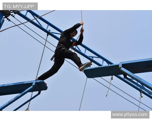 杭州排球队逆袭之路揭秘钻石联赛特别报道展现团队精神与奋斗历程