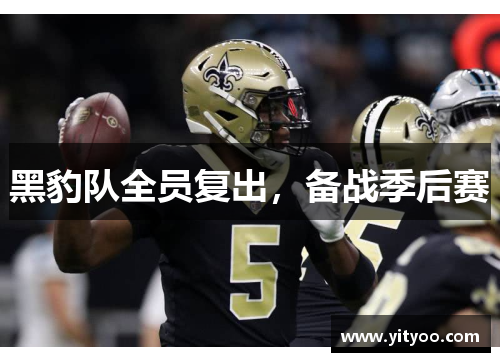 黑豹队全员复出，备战季后赛